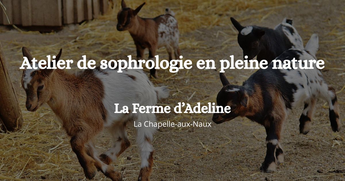 Atelier de sophrologie en pleine nature